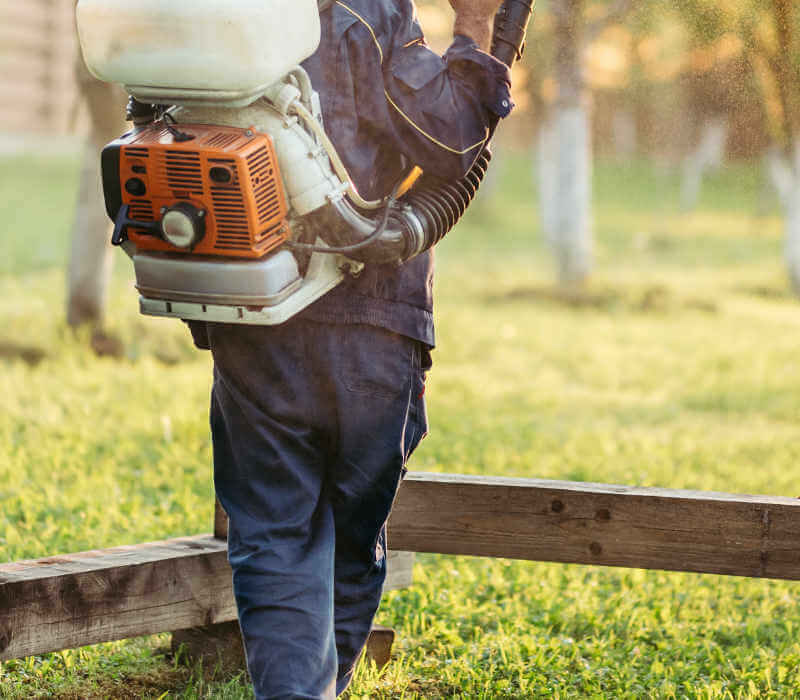 The backside of a professional applying a targeted application for mosquito control.