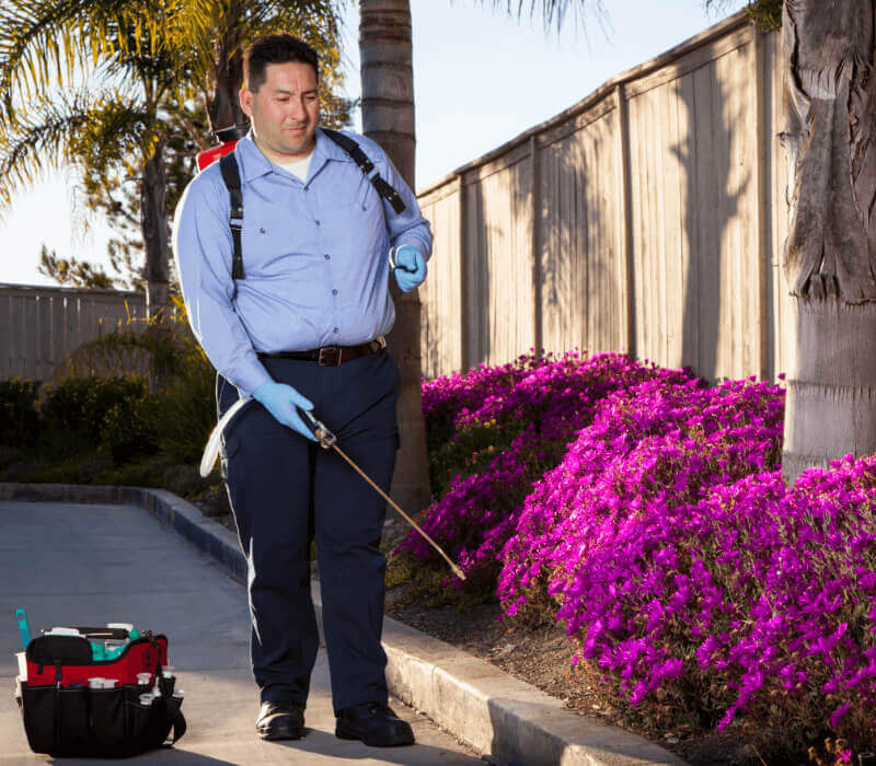 Man spraying bushes