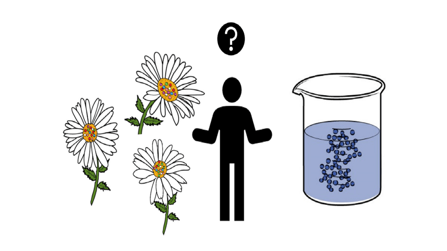 graphic representation of daisy flowers and lab beaker with blue liquid, human between them shrugging shoulders with question mark above head