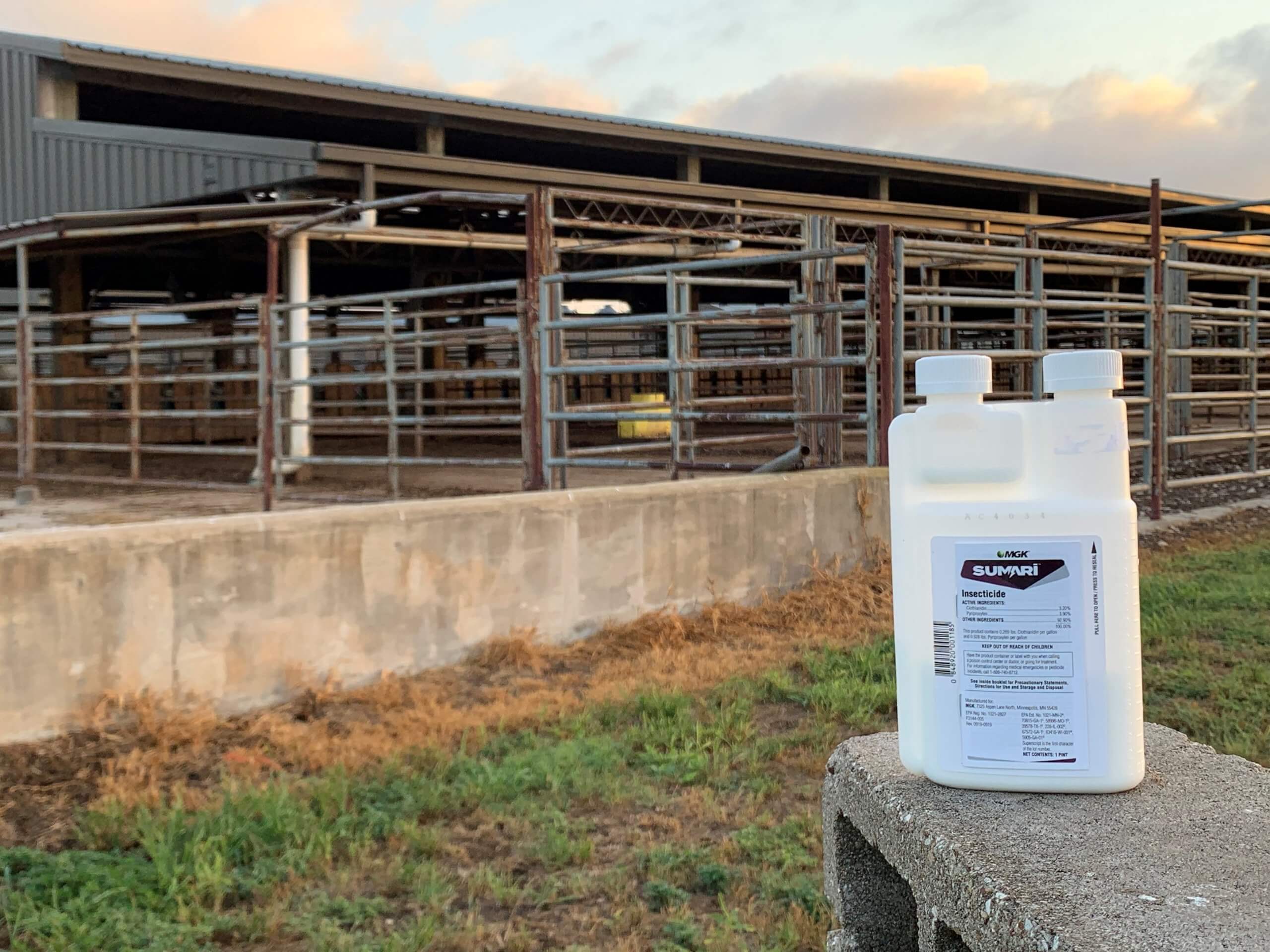 Sumari bottle sitting on concrete in front of animal production facility