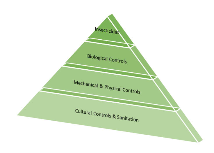 IMP Blog: Tools Pyramid - from top, insecticides, biological controls, mechanical & physical controls, cultural controls and sanitation 