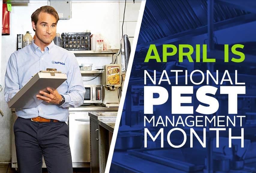 April is National Pest Management Month. image of pest professional holding clipboard in commercial kitchen facility