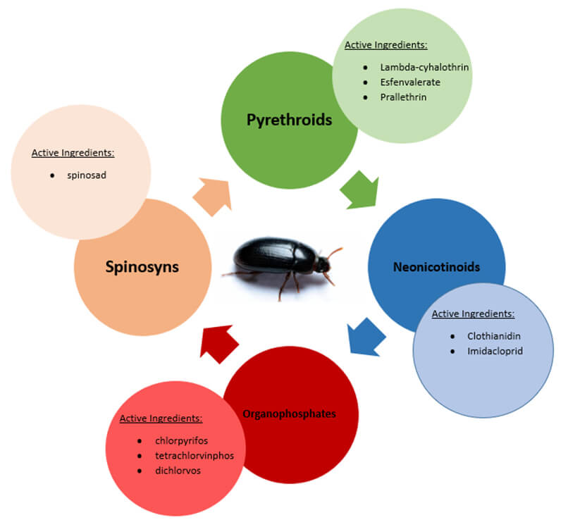 Insecticide Classes& Active Ingredients: Pyrethroids, Neonicontinoids. Organophosphates, Spinosyns